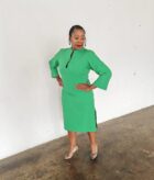 Vintage Pencil Dress